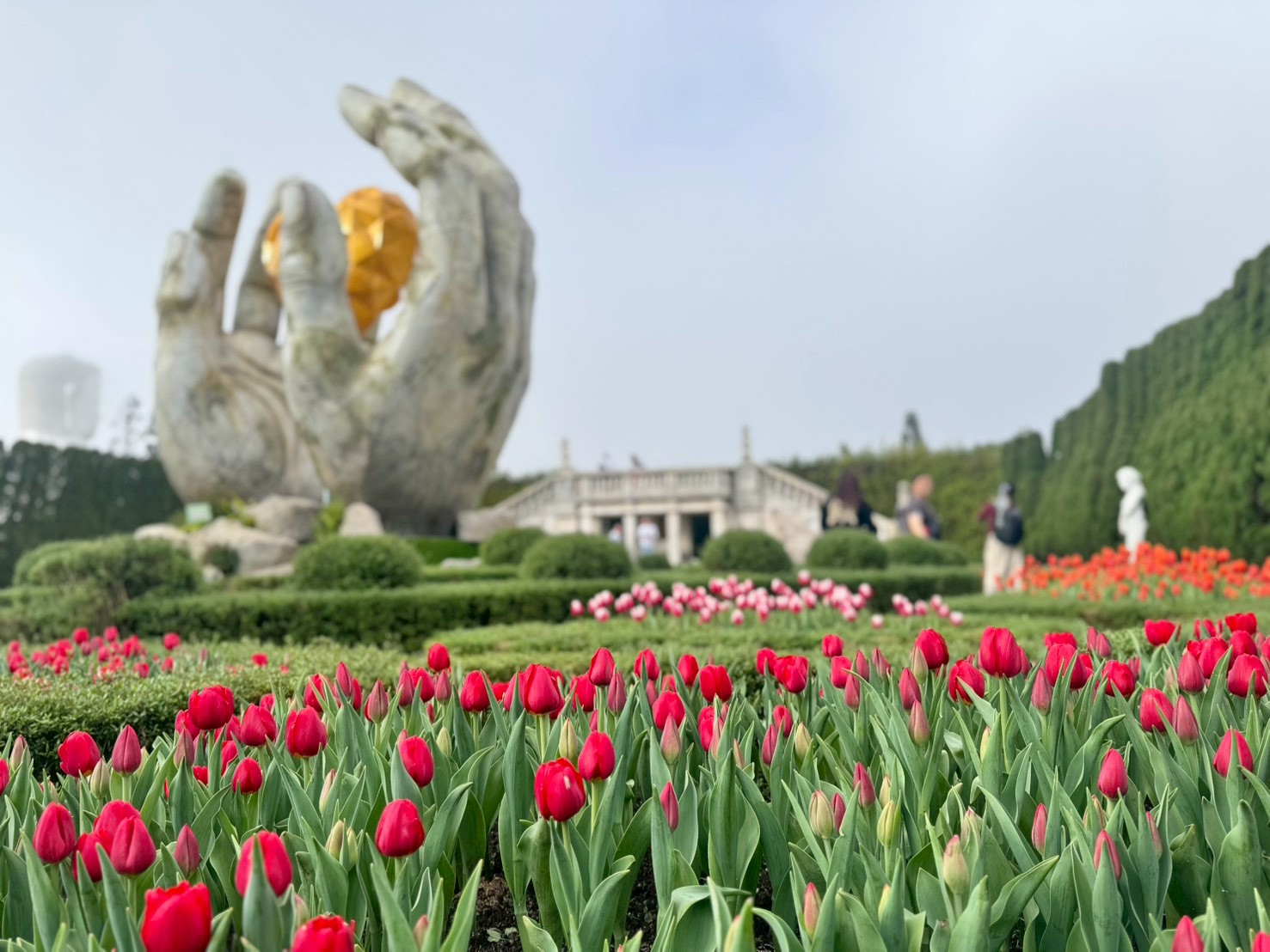 เทศกาลดอกทิวลิปที่บานาฮิลล์ (Ba Na Hills Tulip Festival) ปี 2026